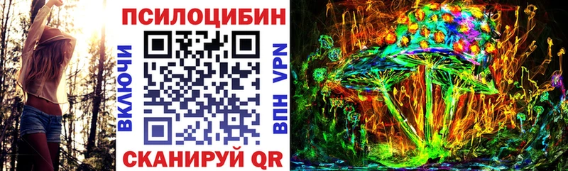 как найти закладки  дарк нет телеграм  Псилоцибиновые грибы Psilocybine cubensis  Курганинск 